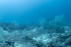 DSC01024-Pano