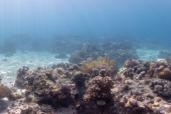 DSC09442-Pano