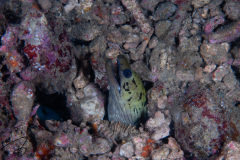 DSC07260
