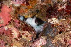 DSC07266
