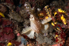 DSC07361