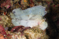 DSC07372