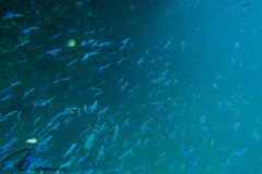 DSC07403