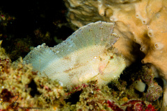 DSC07545