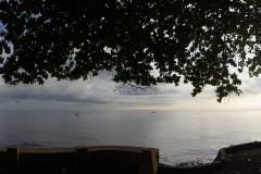 IMG_7313-Pano