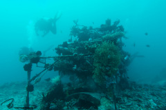 CoralTriangleBangka-202211-138