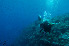 CoralTriangleBunaken-202211-060