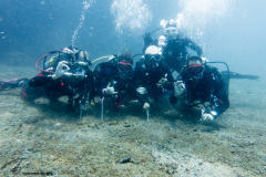 CoralTriangleLembeh-202211-321