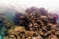 DSC08037-Pano