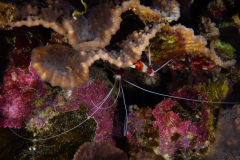 DSC08720