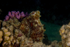 DSC08780