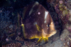 DSC08818