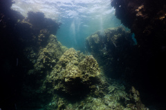 DSC08941