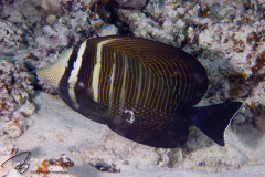 DSC09048
