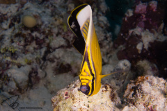 DSC09076