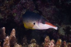 DSC09321