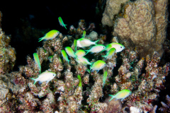 DSC09340