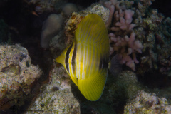 DSC09420