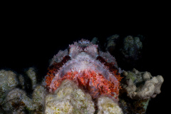 DSC09569